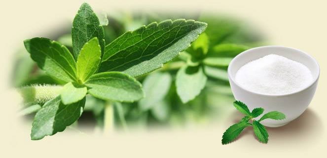 ĐƯỜNG CỎ NGỌT LÀ GÌ? NHỮNG ĐIỀU BẠN CẦN BIẾT!