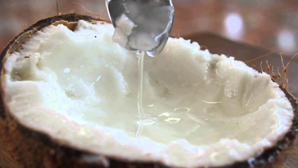 DỪA SÁP & NHỮNG CÔNG DỤNG ĐỐI VỚI SỨC KHOẺ