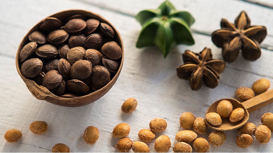SACHI ÔNG VUA CÁC LOẠI HẠT?